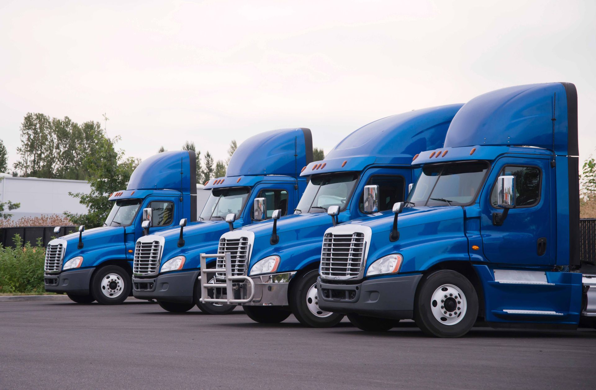 Clean Fleet of Blue Trucks