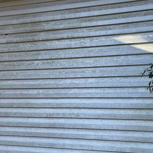 Mold on Garage Door