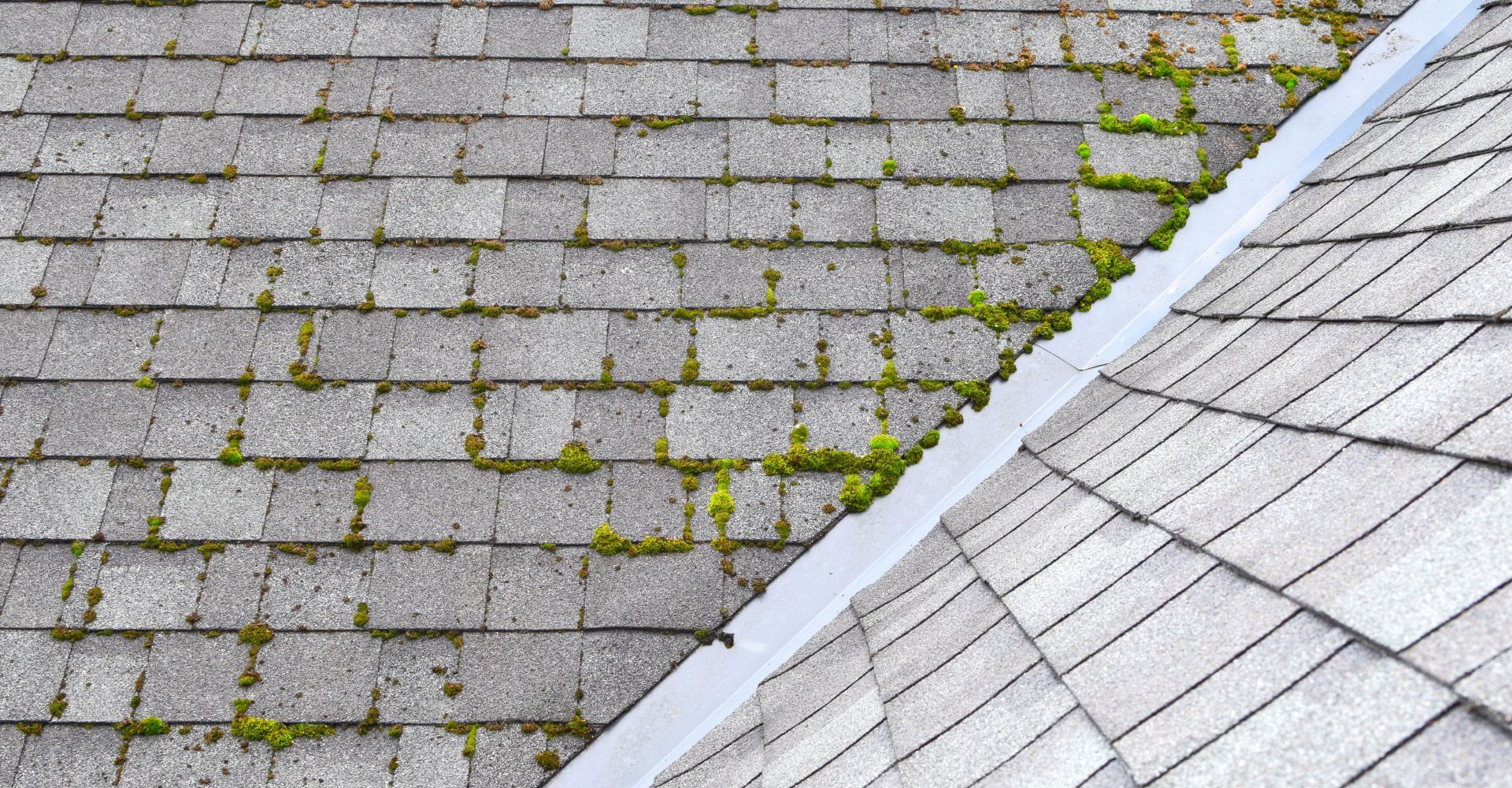 Roof shingles