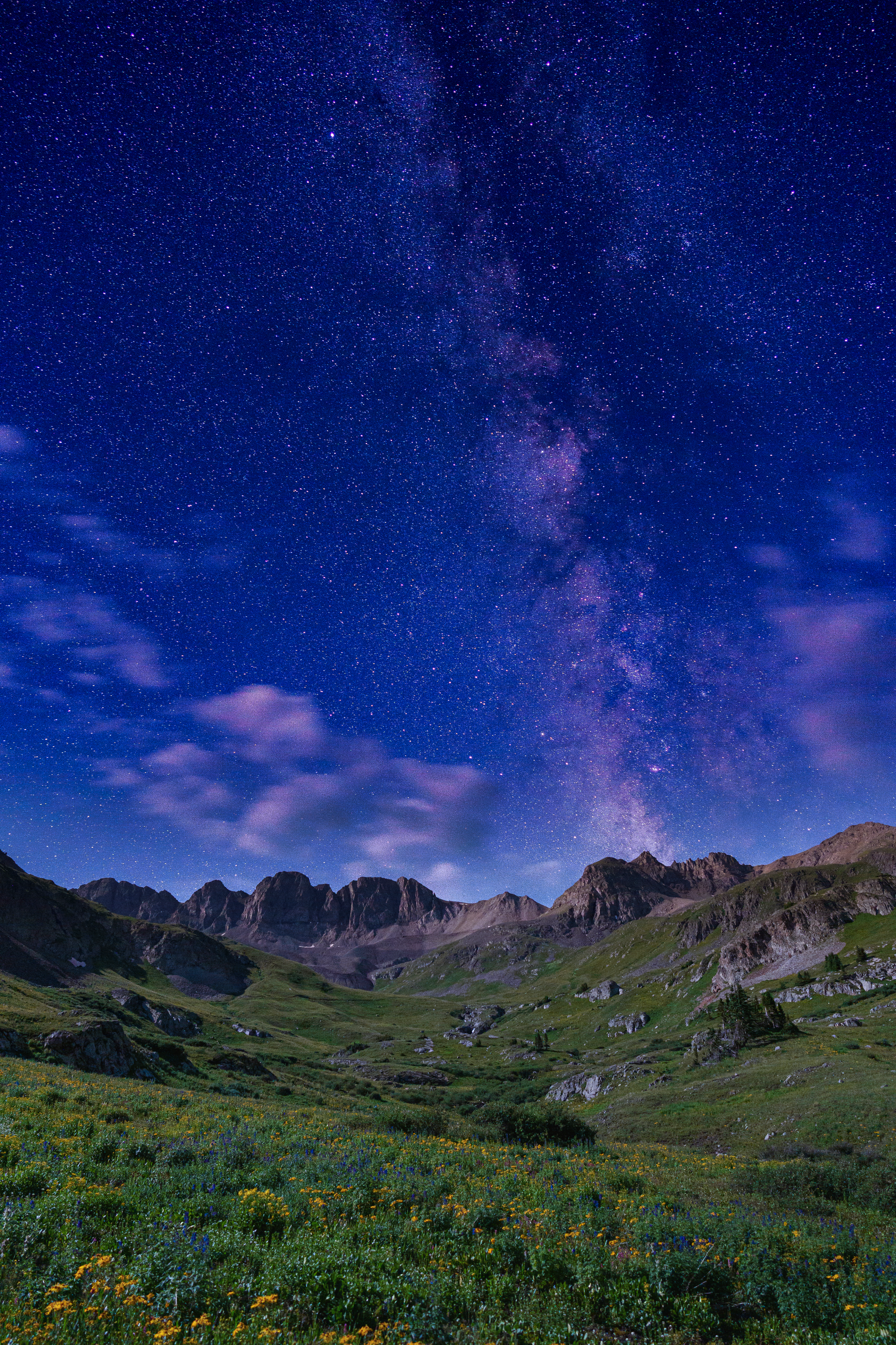 A field of flowers under a starry night sky with mountains in the background.
