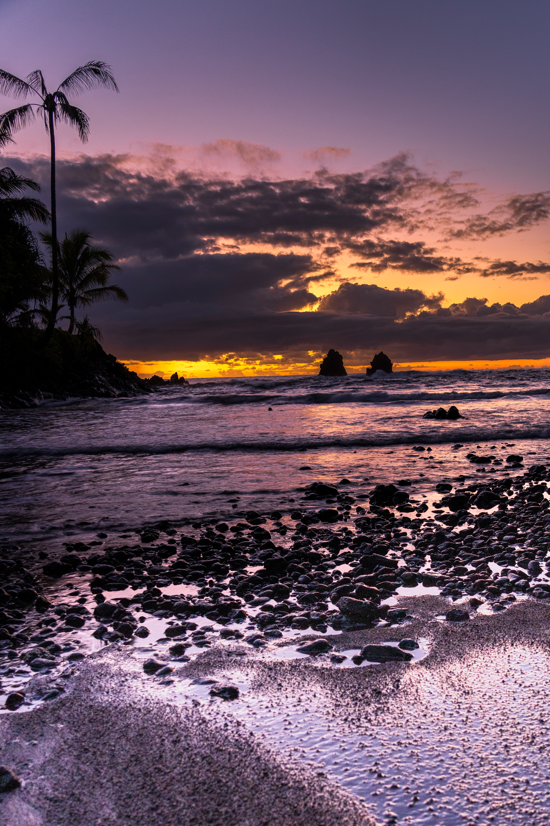 A sunset over the ocean with a palm tree in the foreground
