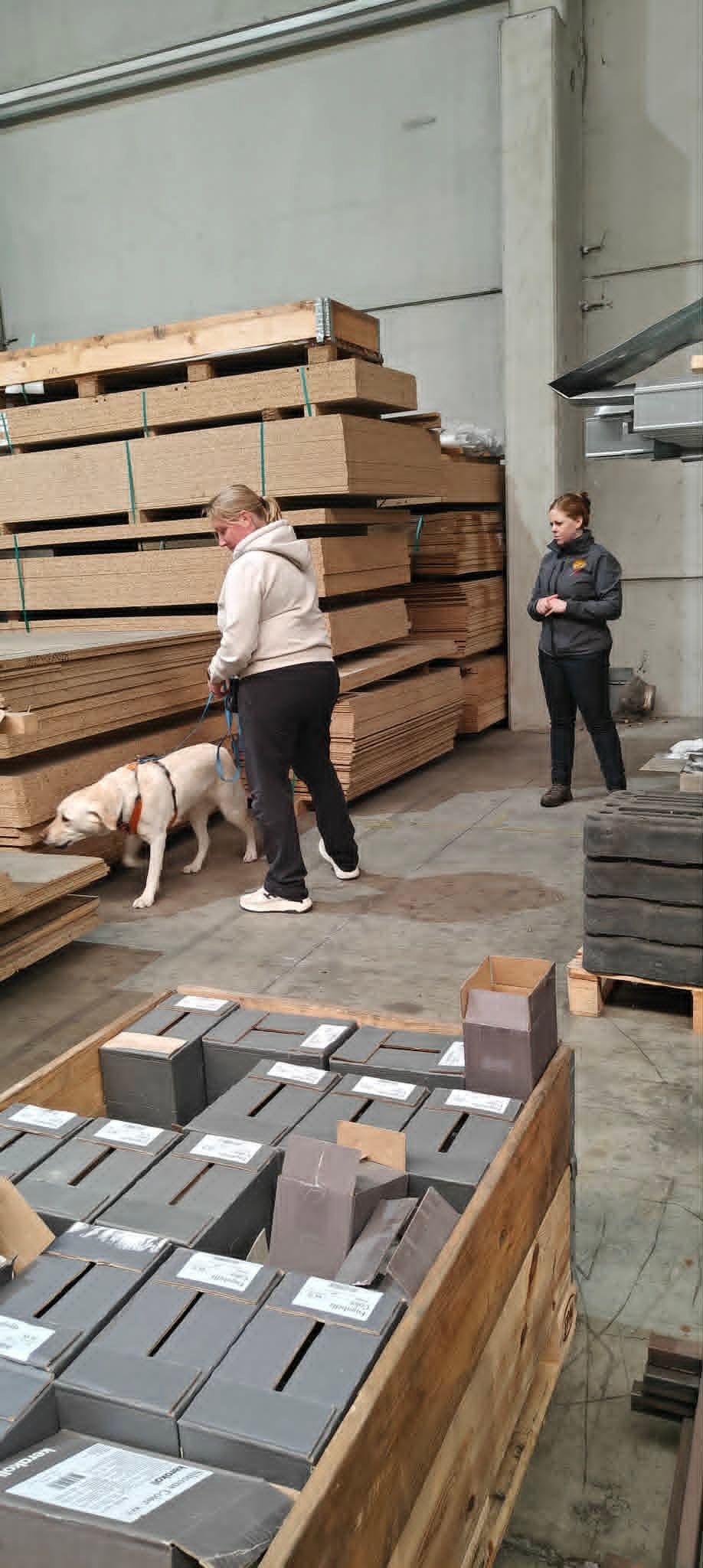 Workshop Nathalie Van Helmond