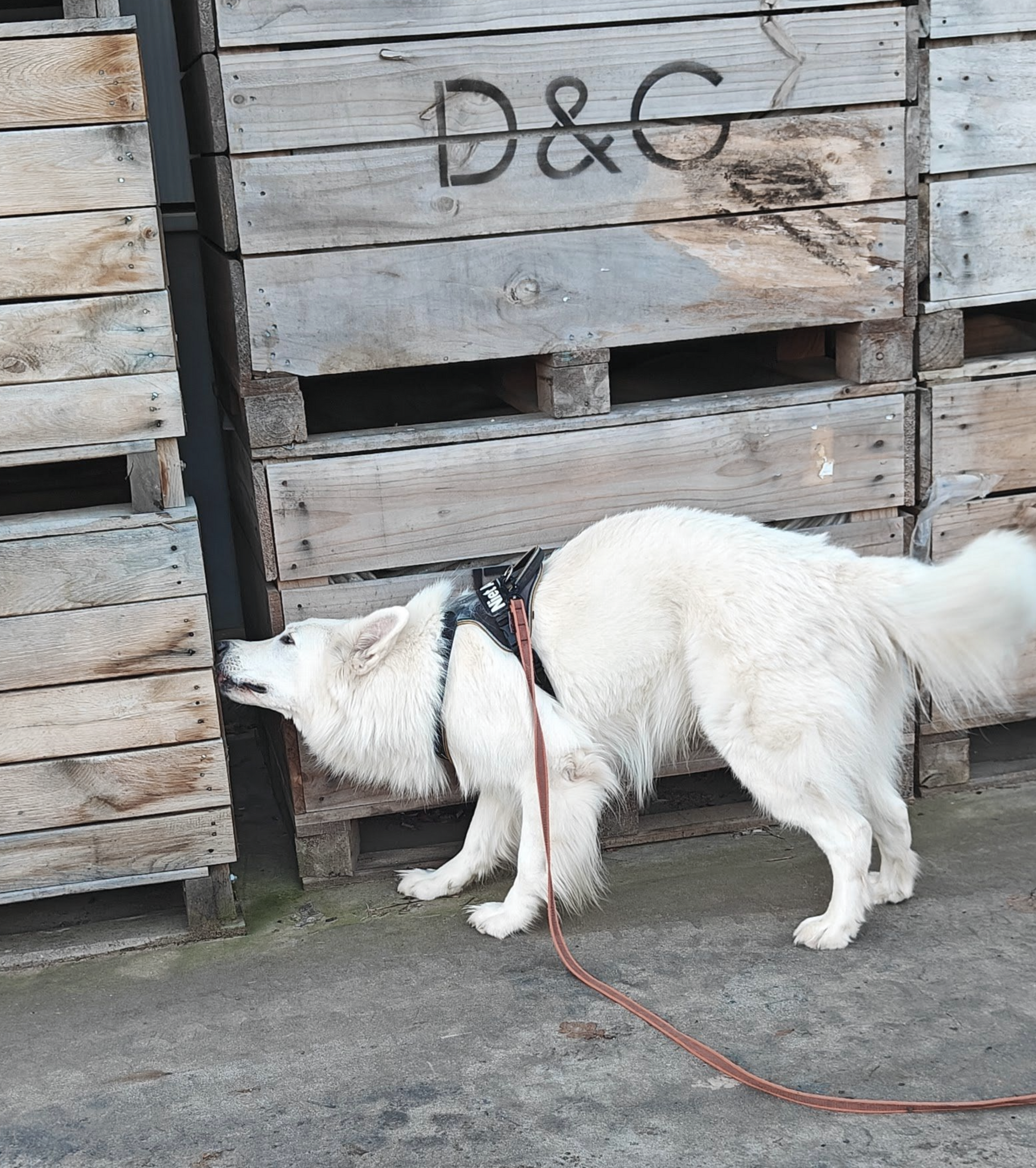 les detectie op verplaatsing