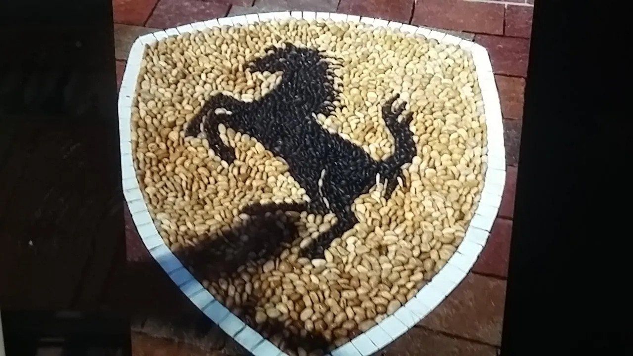 Pavimento in pietra con logo Ferrari