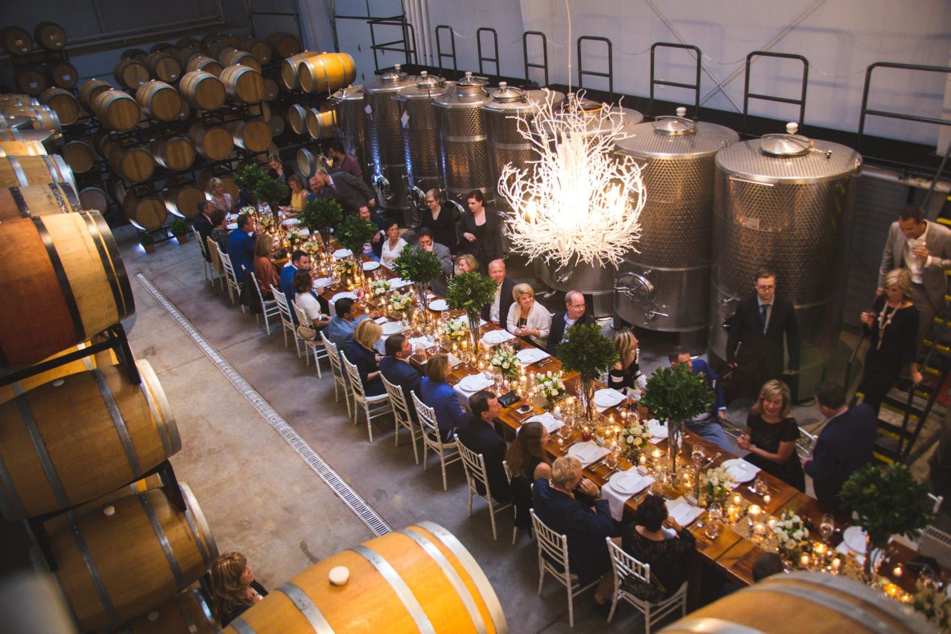 A group of people are sitting at a long table in a wine cellar.