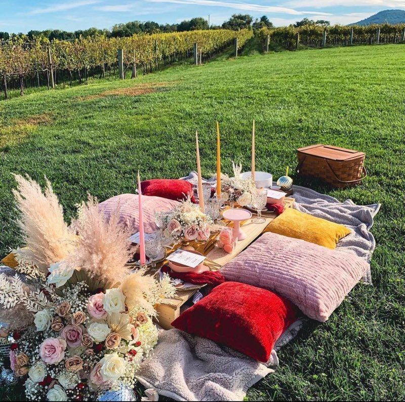 A picnic in a field with flowers and pillows