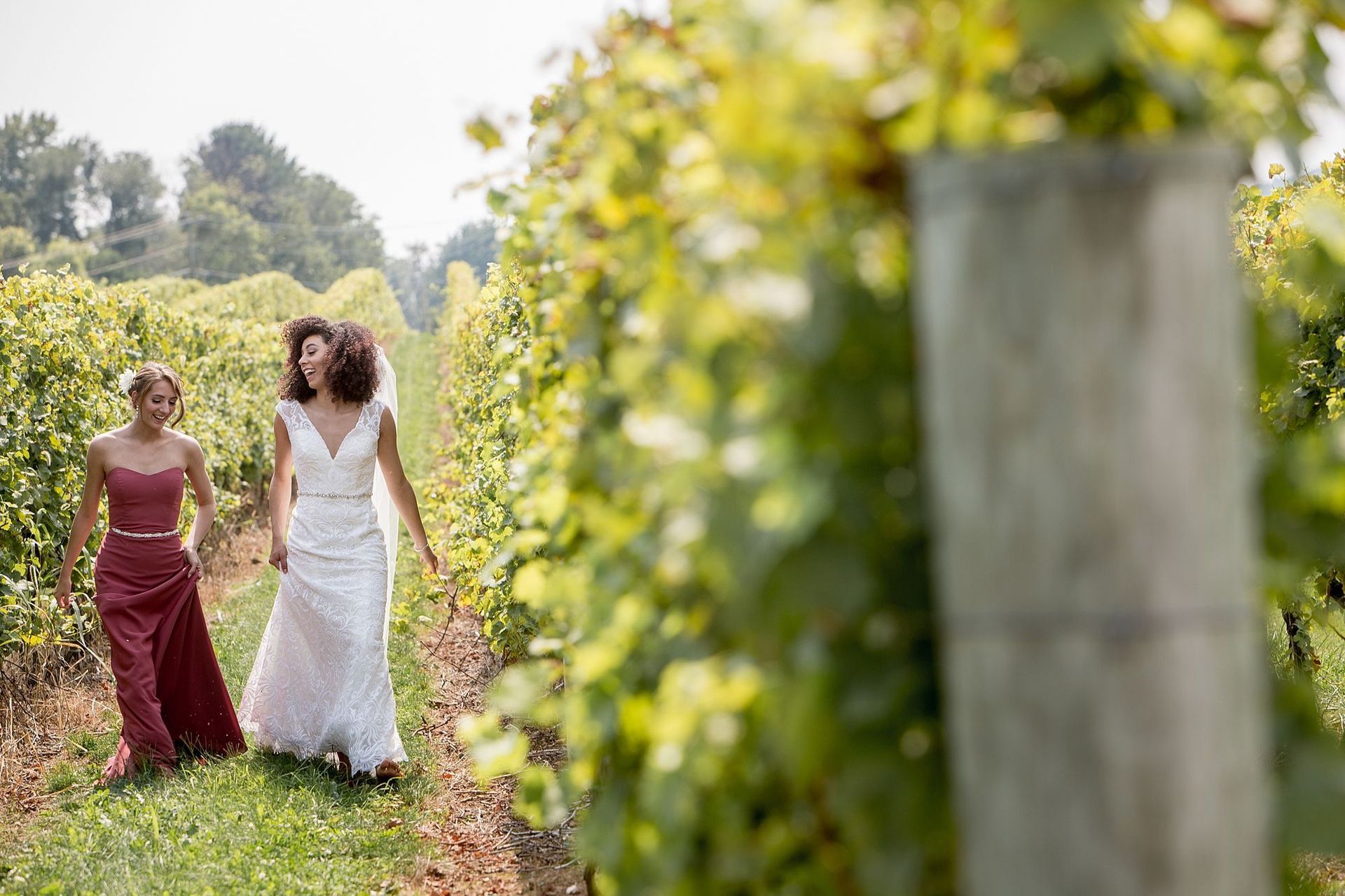 A bride and her bridesmaid are walking through a vineyard.