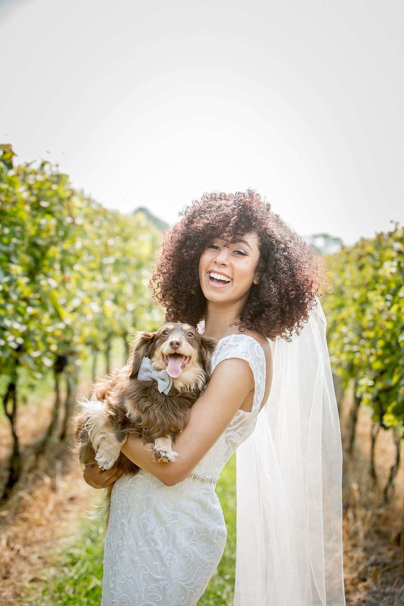 A bride is holding a small dog in her arms in a vineyard.