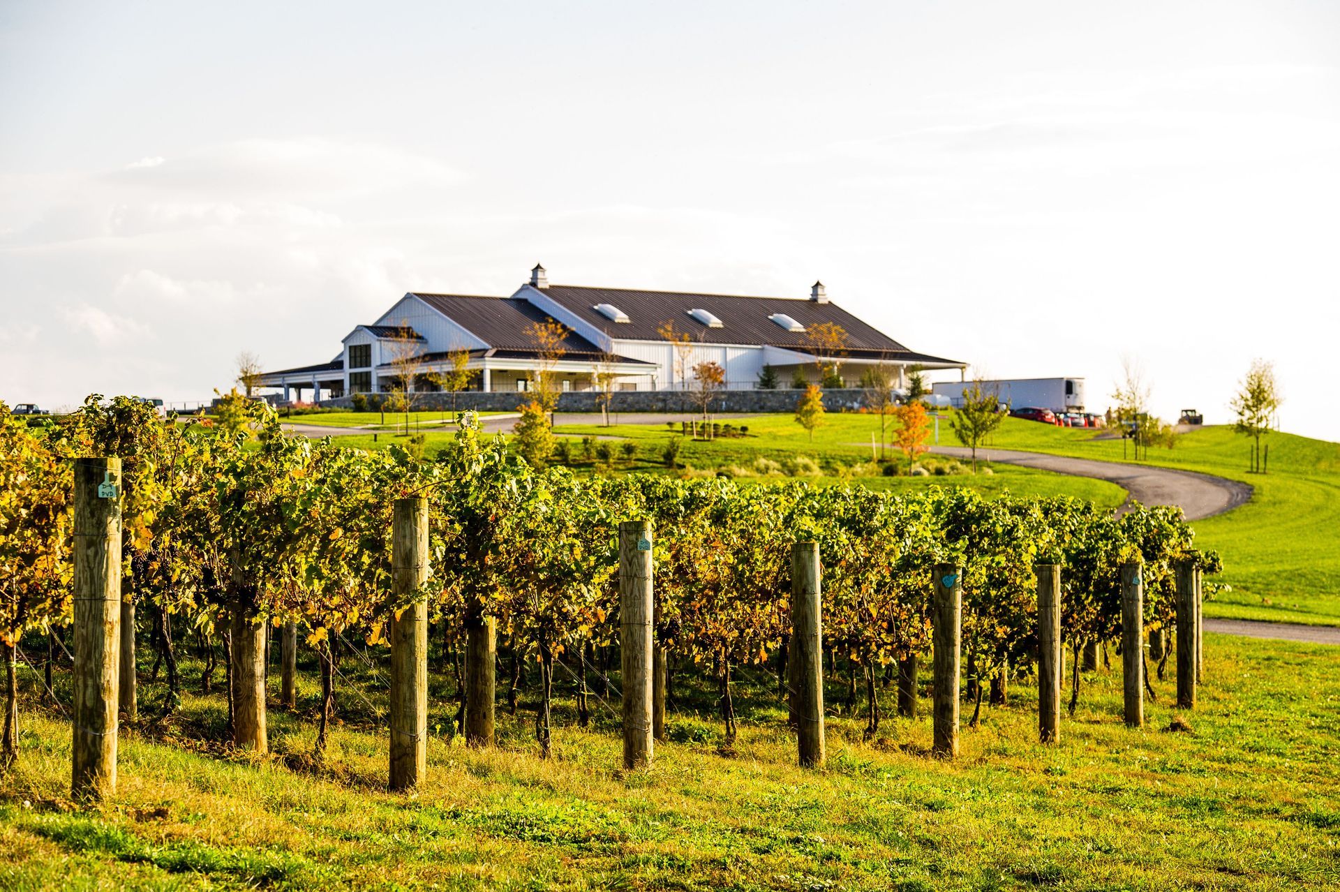 A large house is sitting on top of a hill next to a vineyard.