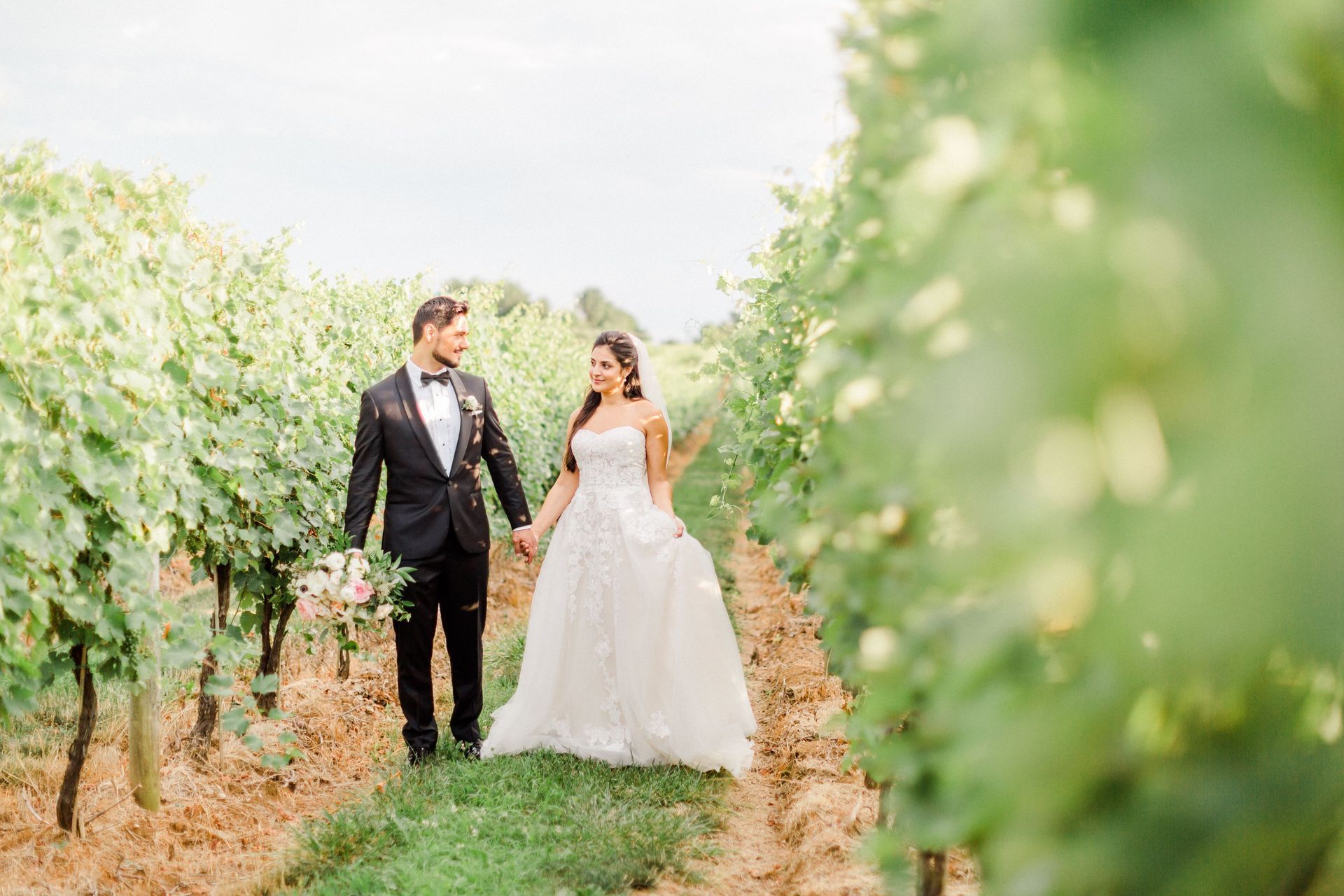A bride and groom are walking through a vineyard holding hands.