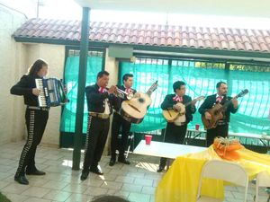 MARIACHI TISÚ