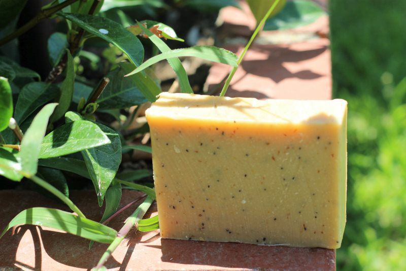 Tea Tree With Poppy Seeds