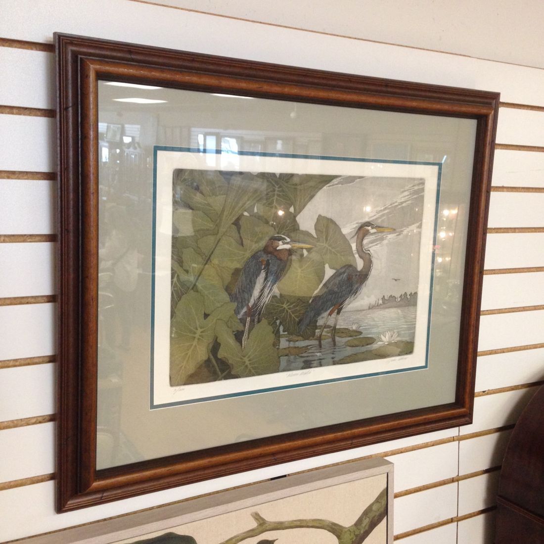 A framed picture of birds is hanging on a wall