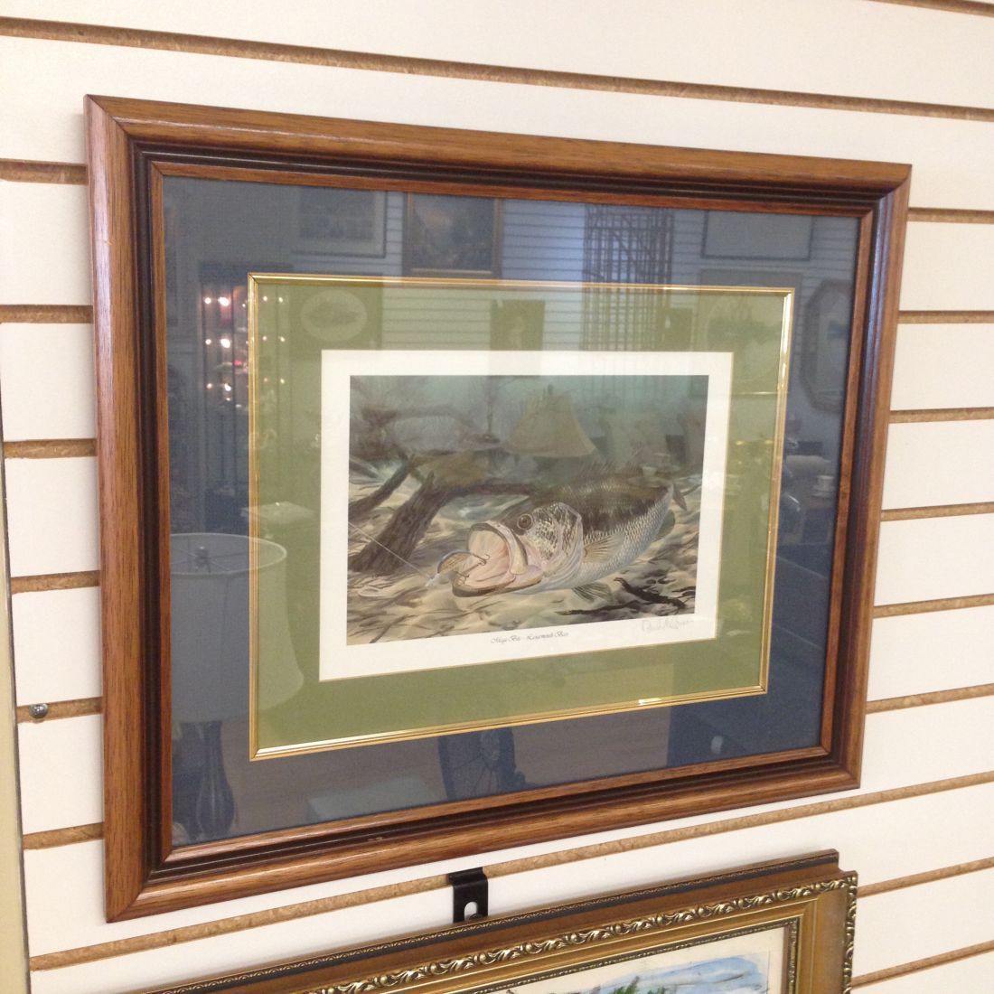 A framed picture of a fish is hanging on a wall.
