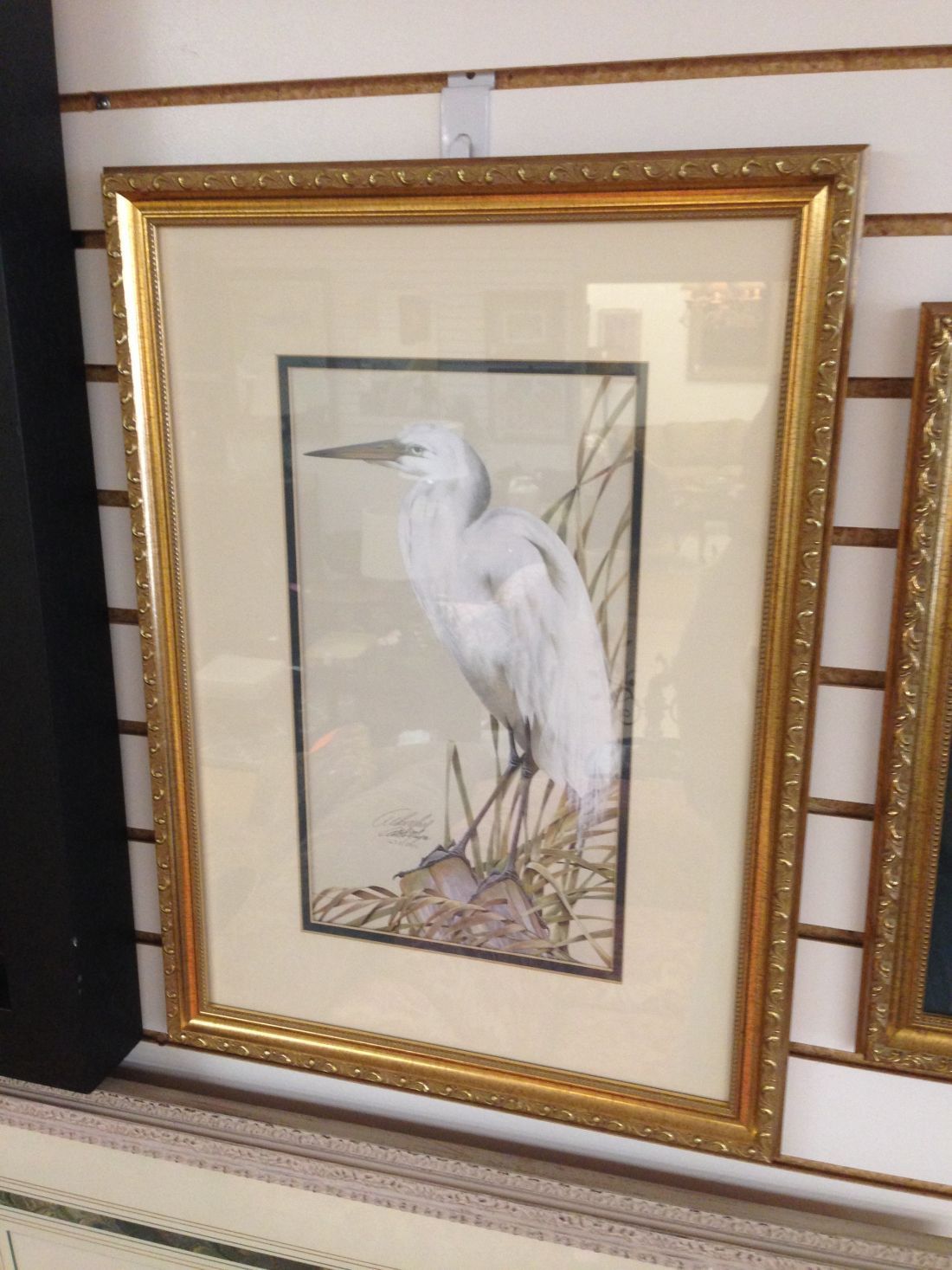 A picture of a white bird in a gold frame