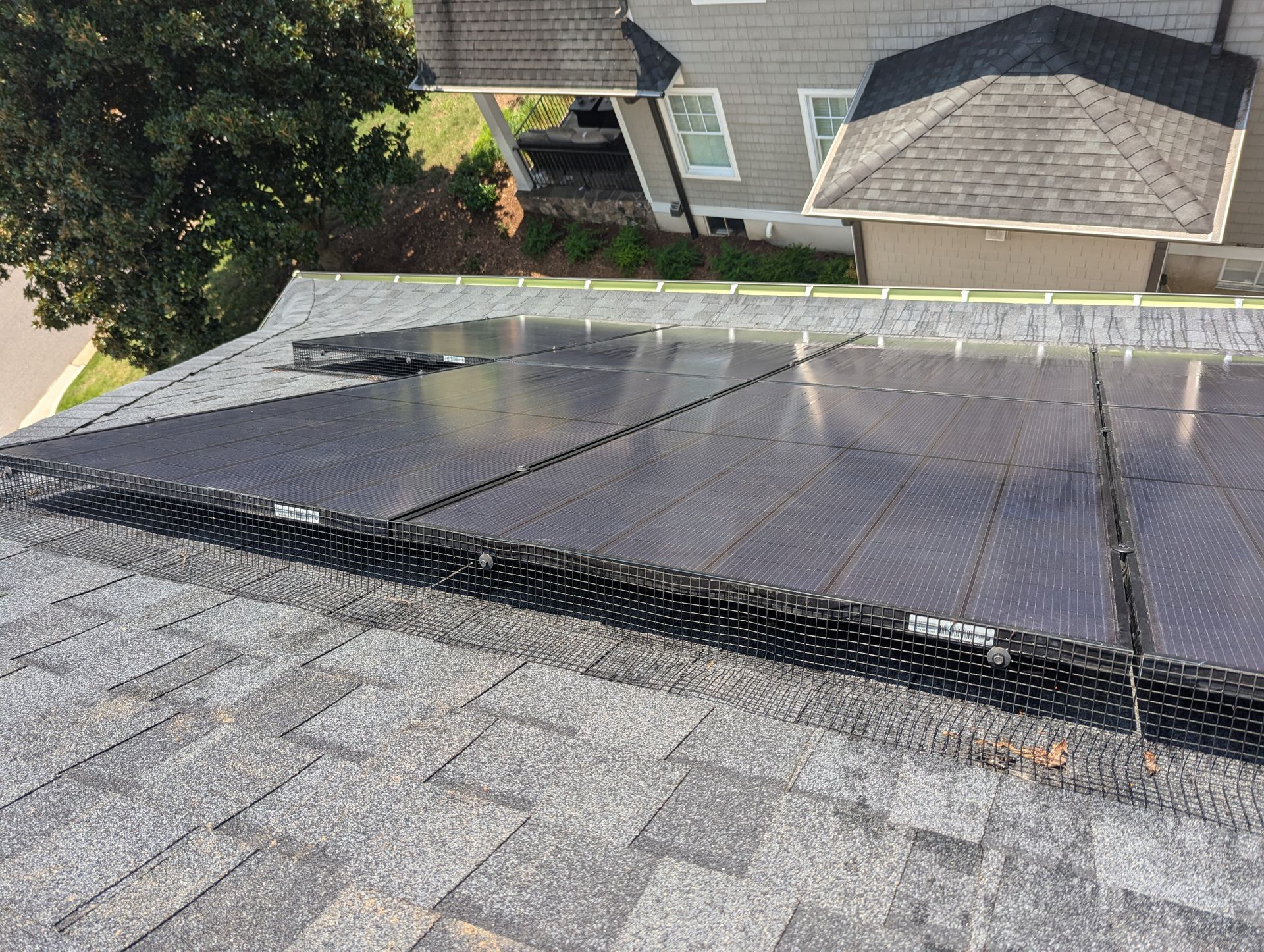 solar panels after critter guard