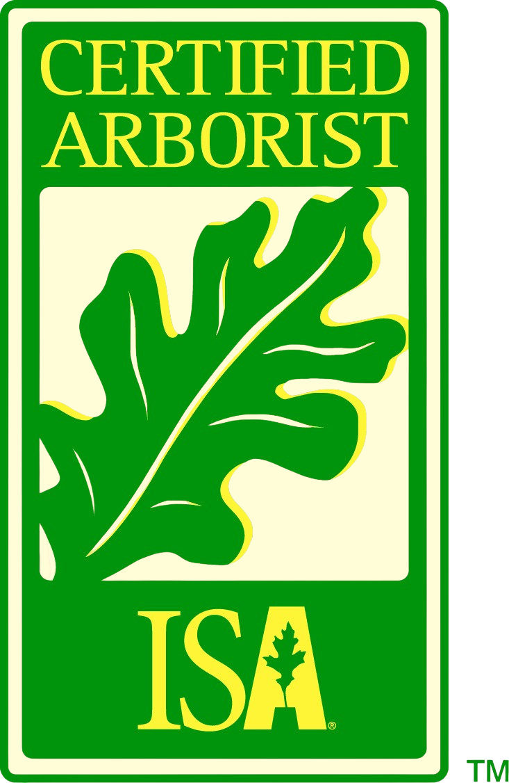 Green and yellow Certified Arborist logo with a stylized oak leaf. ISA.
