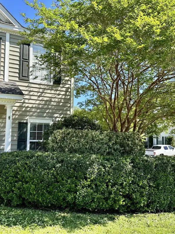 A house with beige siding, black shutters, and a trimmed green bush in front. A tree with green leaves is in the background.