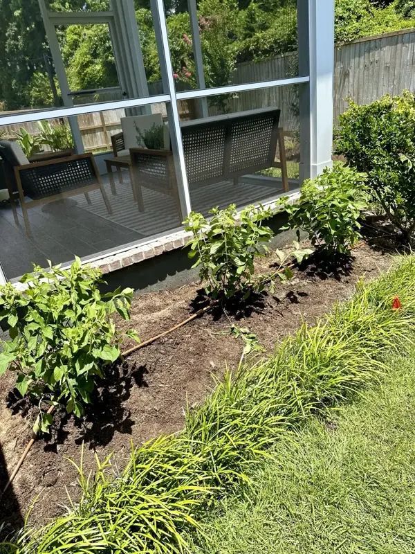 A garden bed with green plants, next to grass and a screened porch.