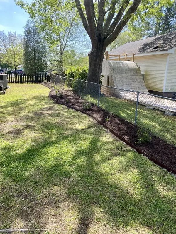 Lawn with brown mulch bed along a chain-link fence, a large tree, and a yellow house in the background.