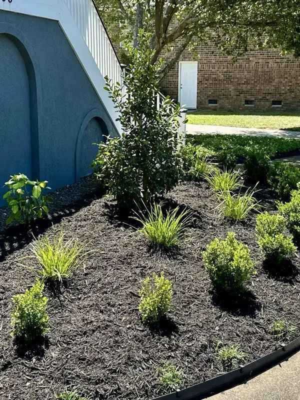 Landscaped garden bed with dark mulch and various green plants next to a blue building with white stairs.