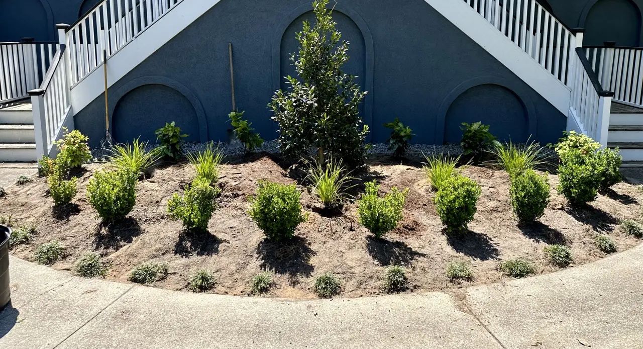 A landscaped garden bed with green shrubs and a tree in front of a blue building with white stairs.