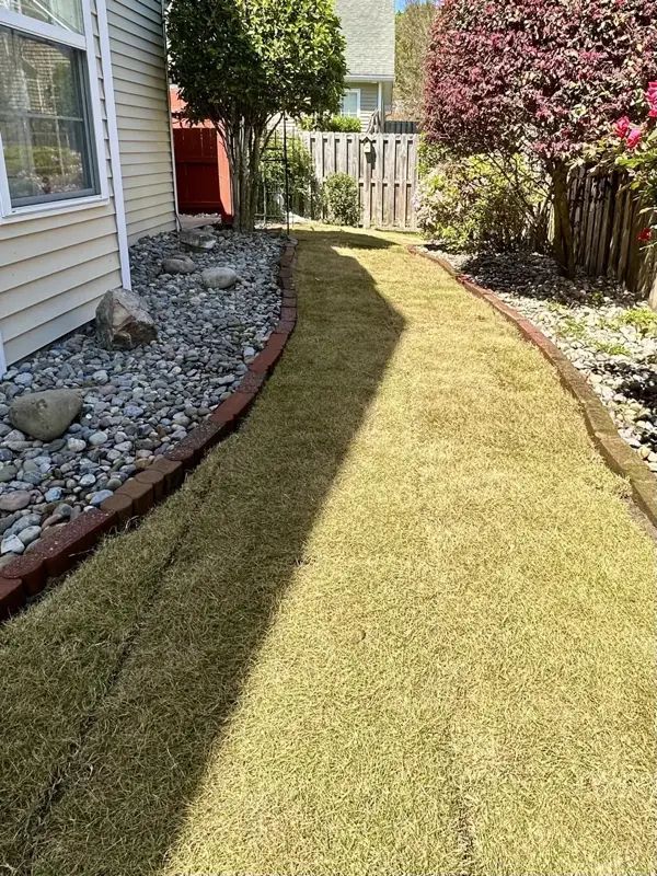Pathway of fresh sod bordered by rocks and brick, beside a house and garden.