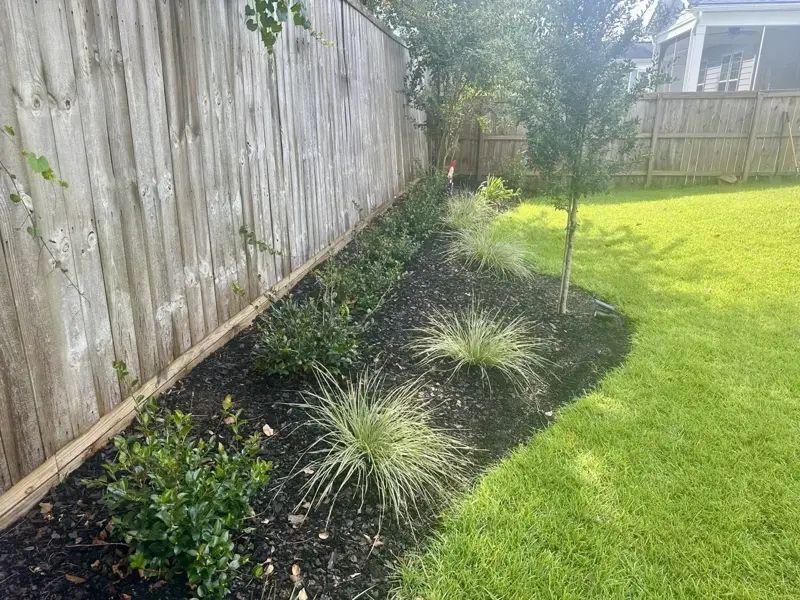 A landscaped border of dark mulch, green plants, and grass alongside a wooden fence.