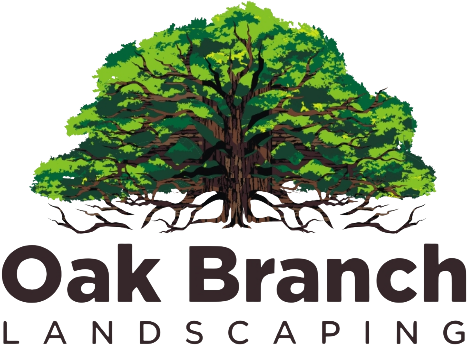 Oak Branch Landscaping logo: Brown oak tree with green leaves above text 