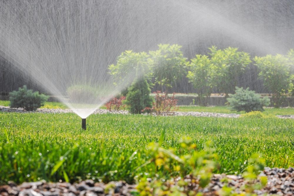 Sprinkler spraying water on green grass in a yard with trees and bushes in the background.