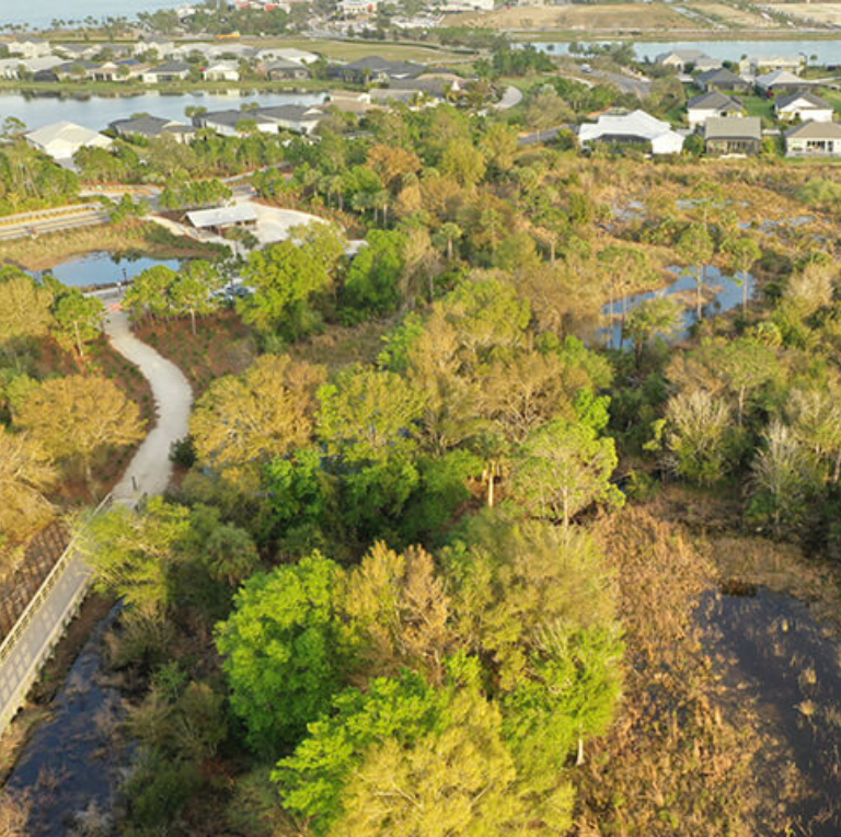An aerial view of a lush green forest with a lake in the background.