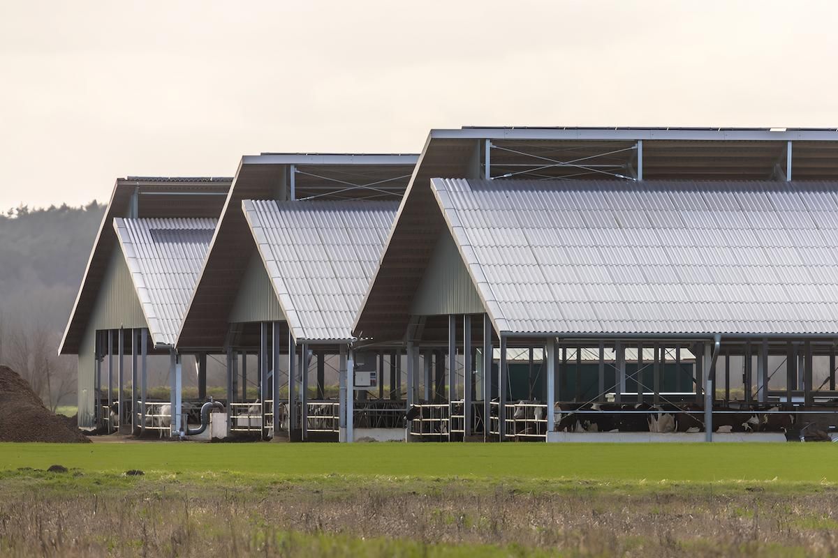 A Three Large Sheds in the Middle of a Field — O'Brien Painting Contractors in Alexandra Headland, QLD