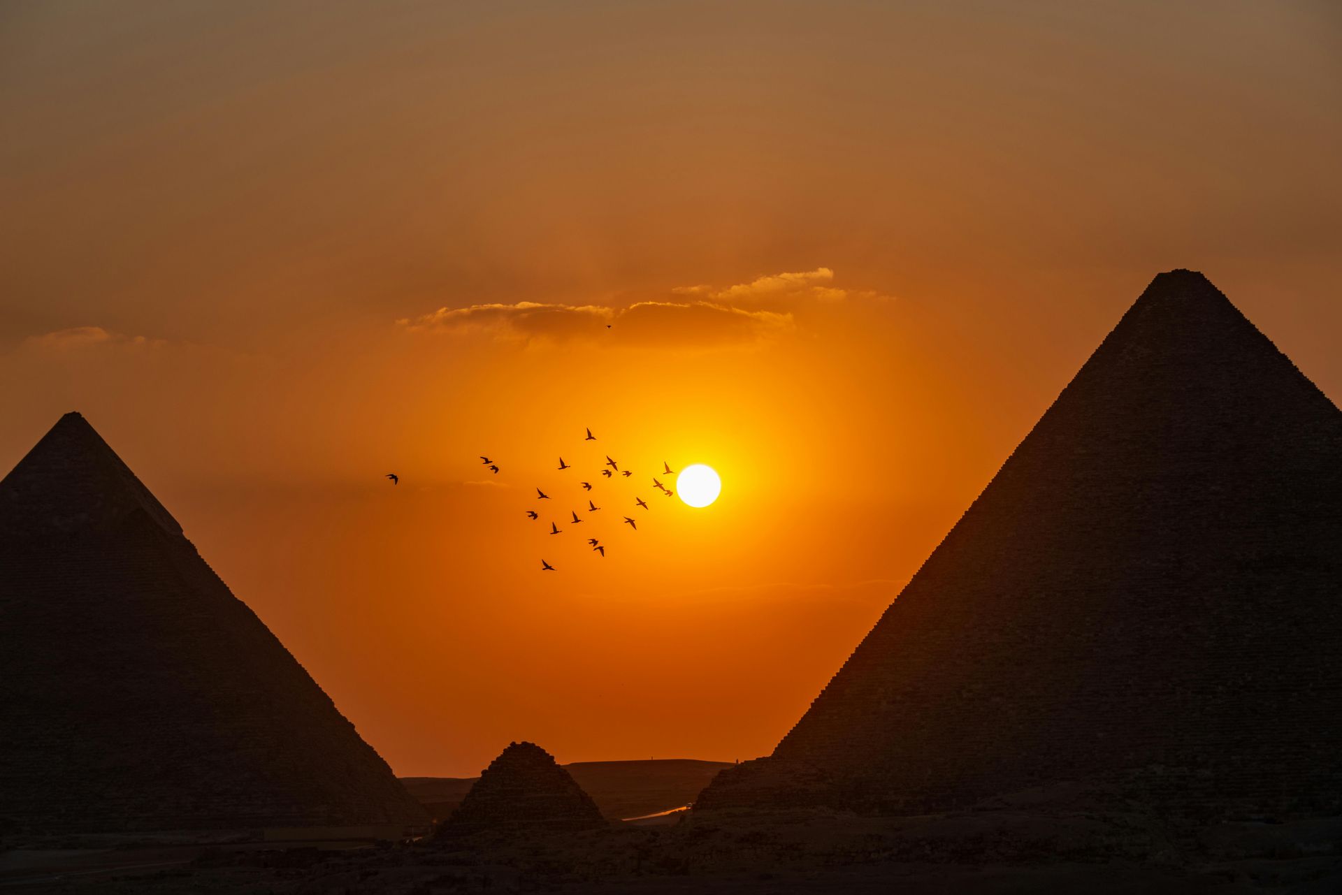 Sound and light show at the pyramids by Emo Tours Sweden