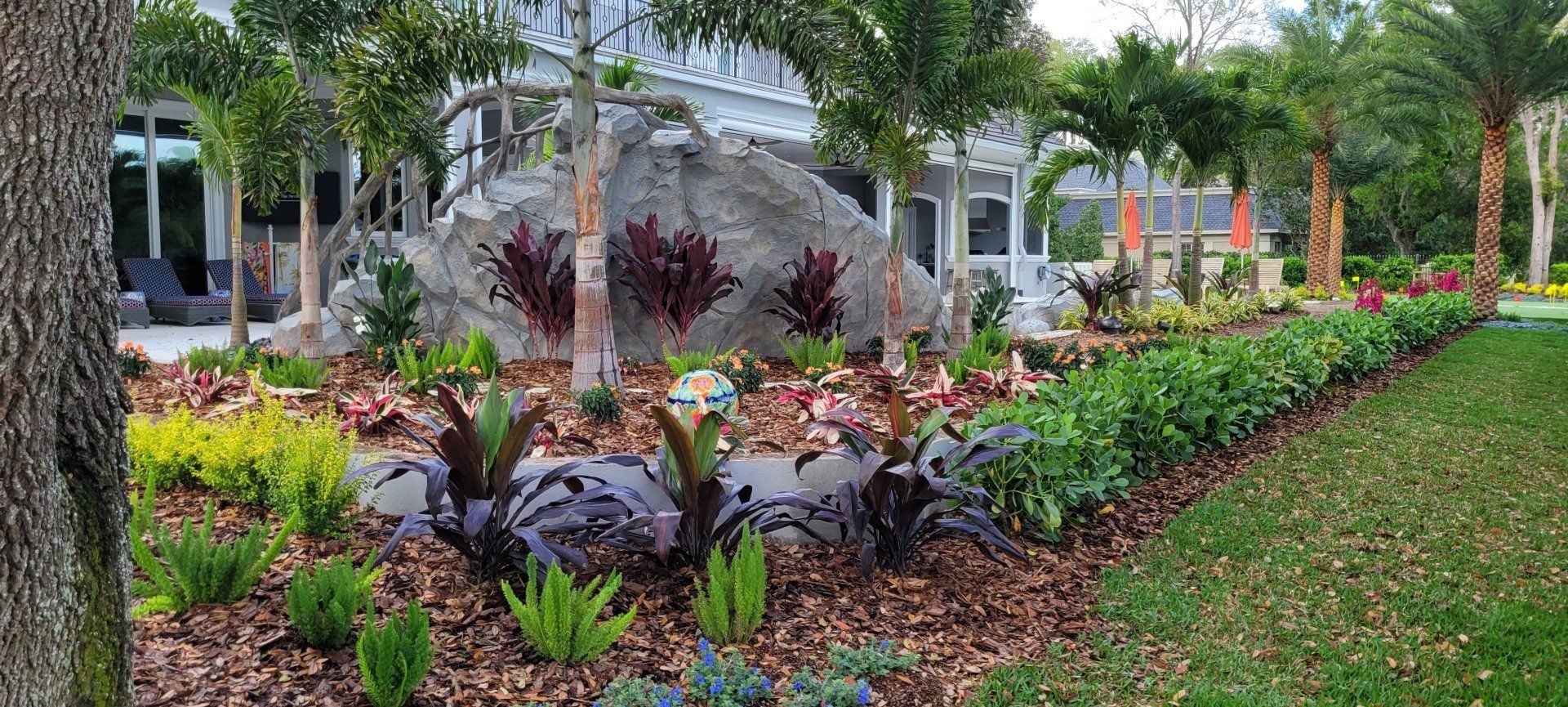 Landscaped yard with large rock, palm trees, and various colorful plants in front of a house.