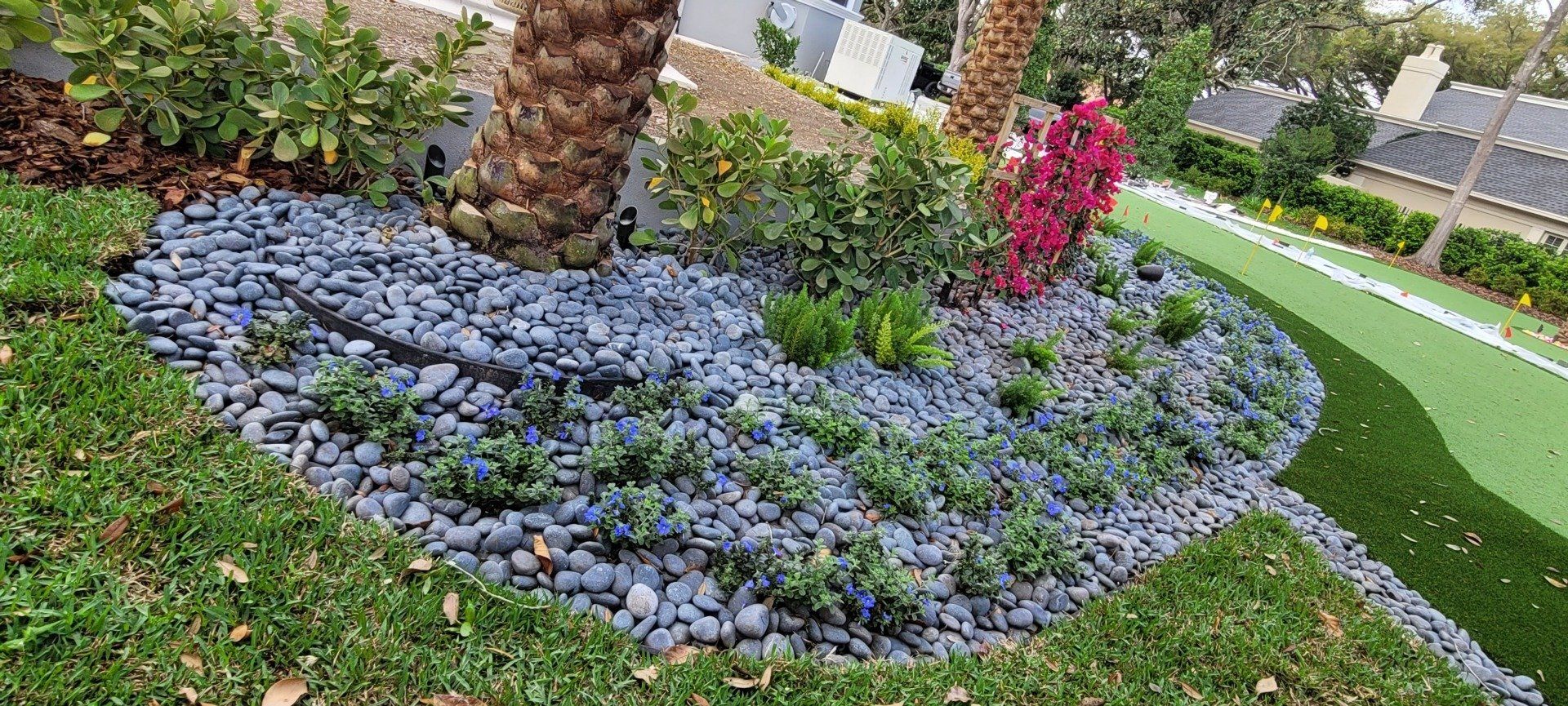 A landscaped garden bed with dark gray rocks, green plants, and a palm tree.