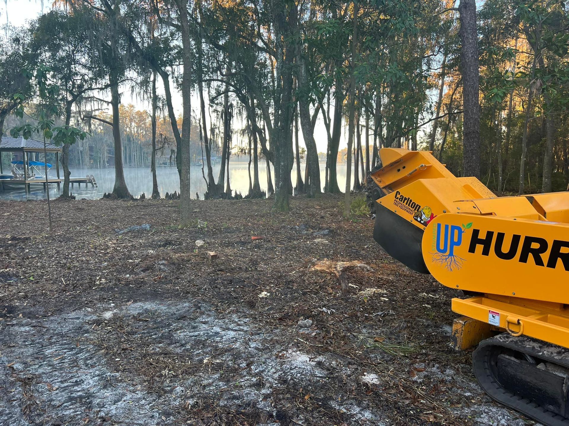 Land Clearing |  Land O Lakes, FL | Stumped Up