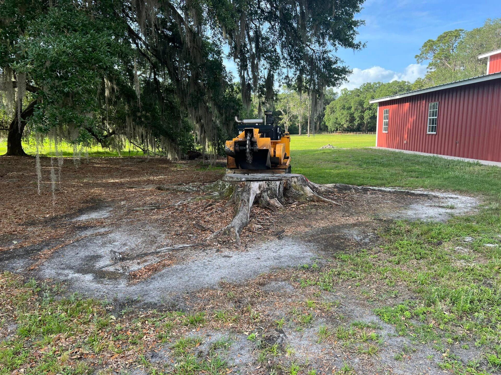 Stump removal | Land O Lakes, FL | Stumped Up