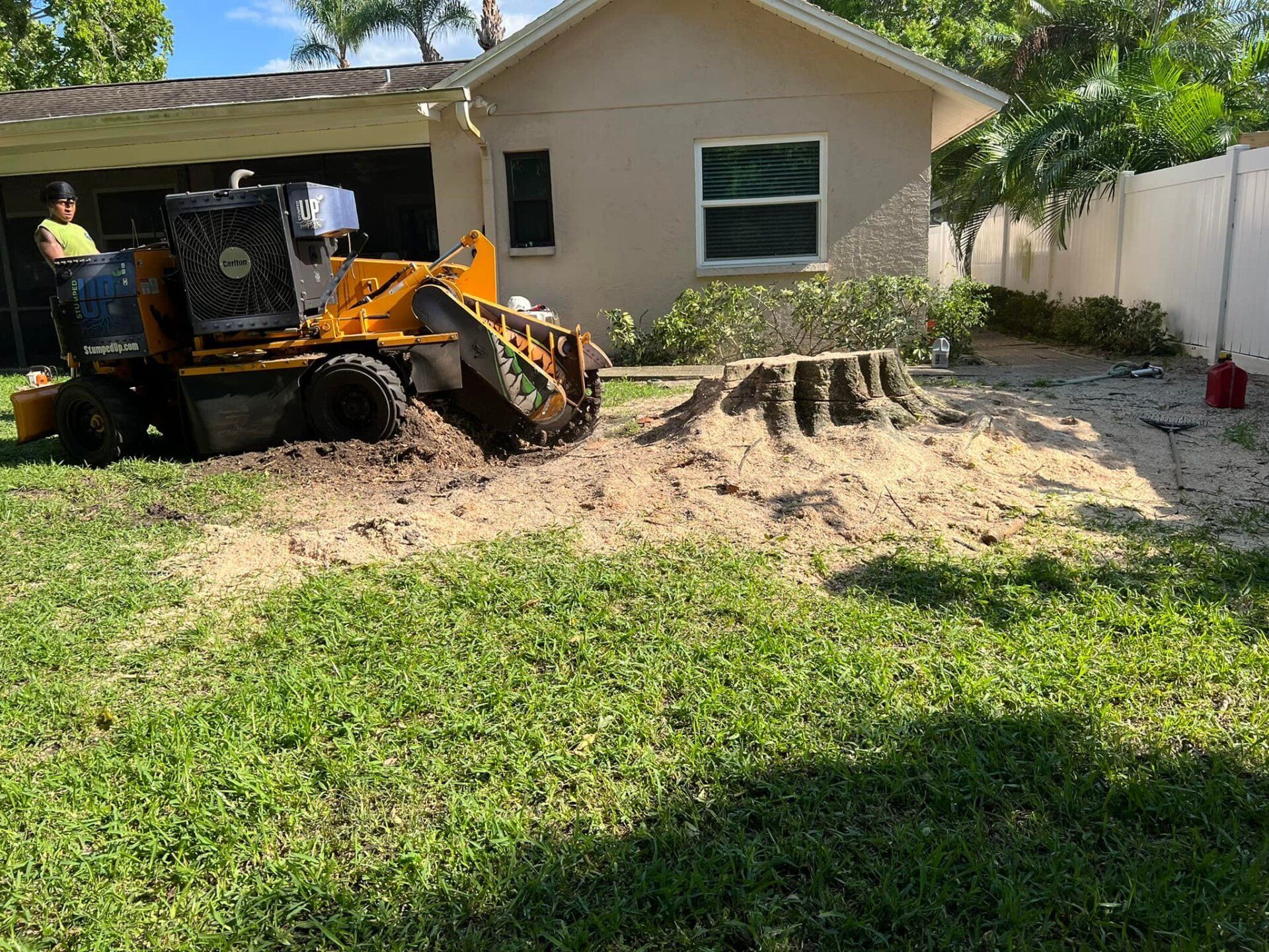 Stump grinder in backyard grinding a tree stump, beige house and white fence in background.