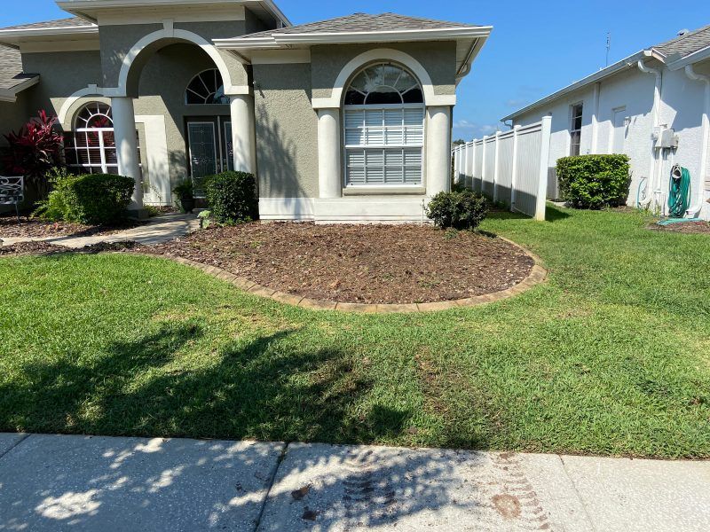 Stump grinding after | Land O Lakes, FL | Stumped Up