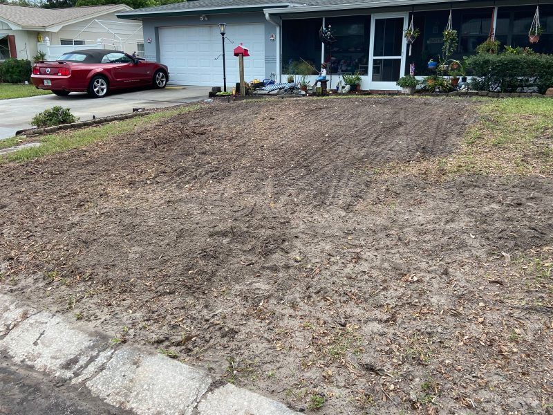 Stump grinding after | Land O Lakes, FL | Stumped Up
