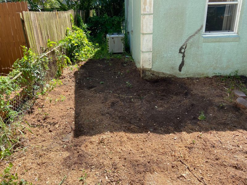 Stump grinding after | Land O Lakes, FL  | Stumped Up