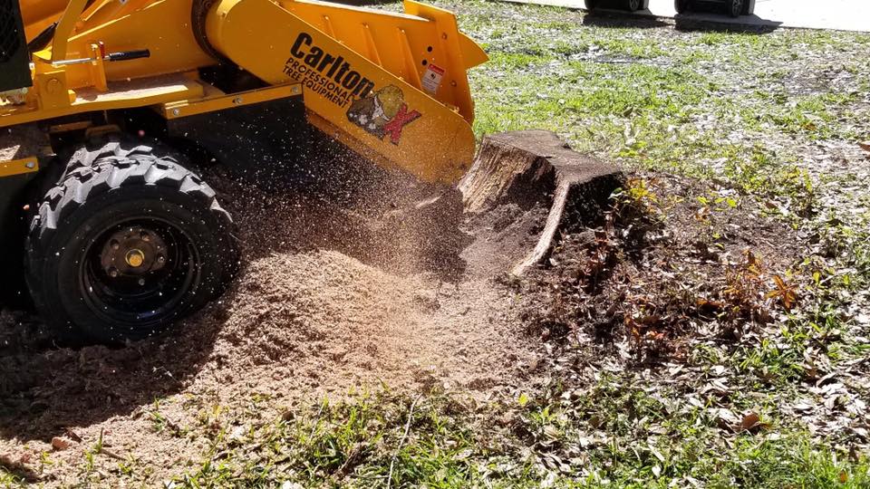 Stump Removal |  Land O Lakes, FL | Stumped Up