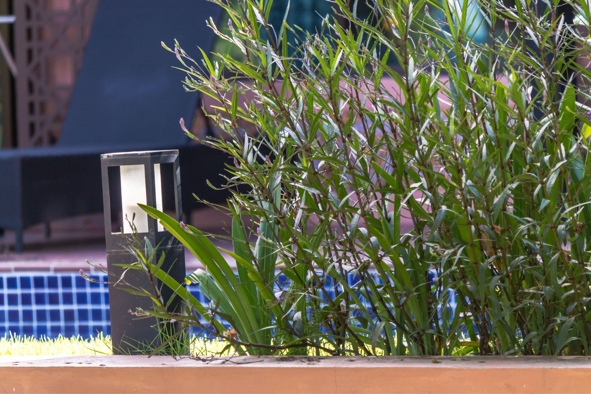 Black outdoor light next to a lush, green plant in a brick planter with a blue-tiled background.