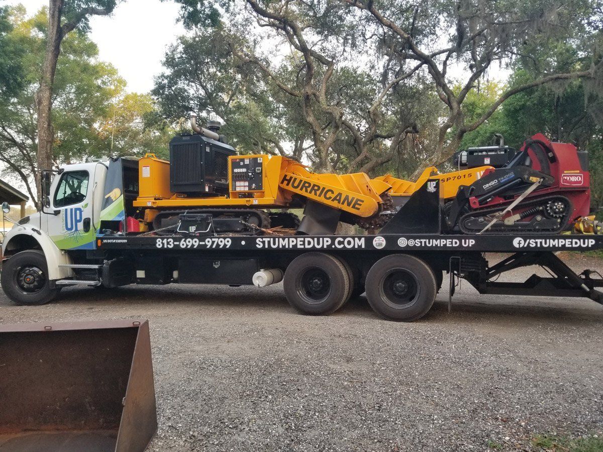 Stump Grinding | Land O Lakes, FL | Stumped Up