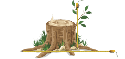 Measure tree stump | Land O Lakes, FL | Stumped Up