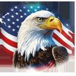 Bald eagle with piercing gaze in front of an American flag.
