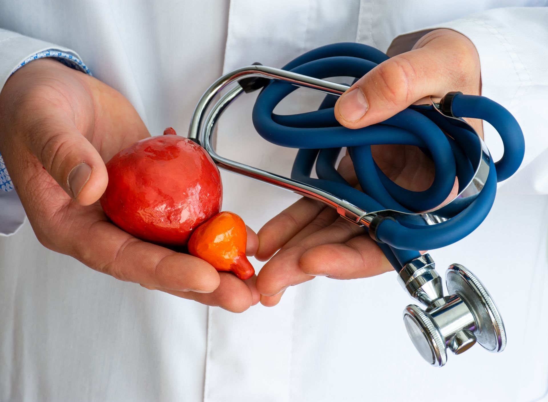 A doctor is holding a stethoscope and a red ball in his hands.