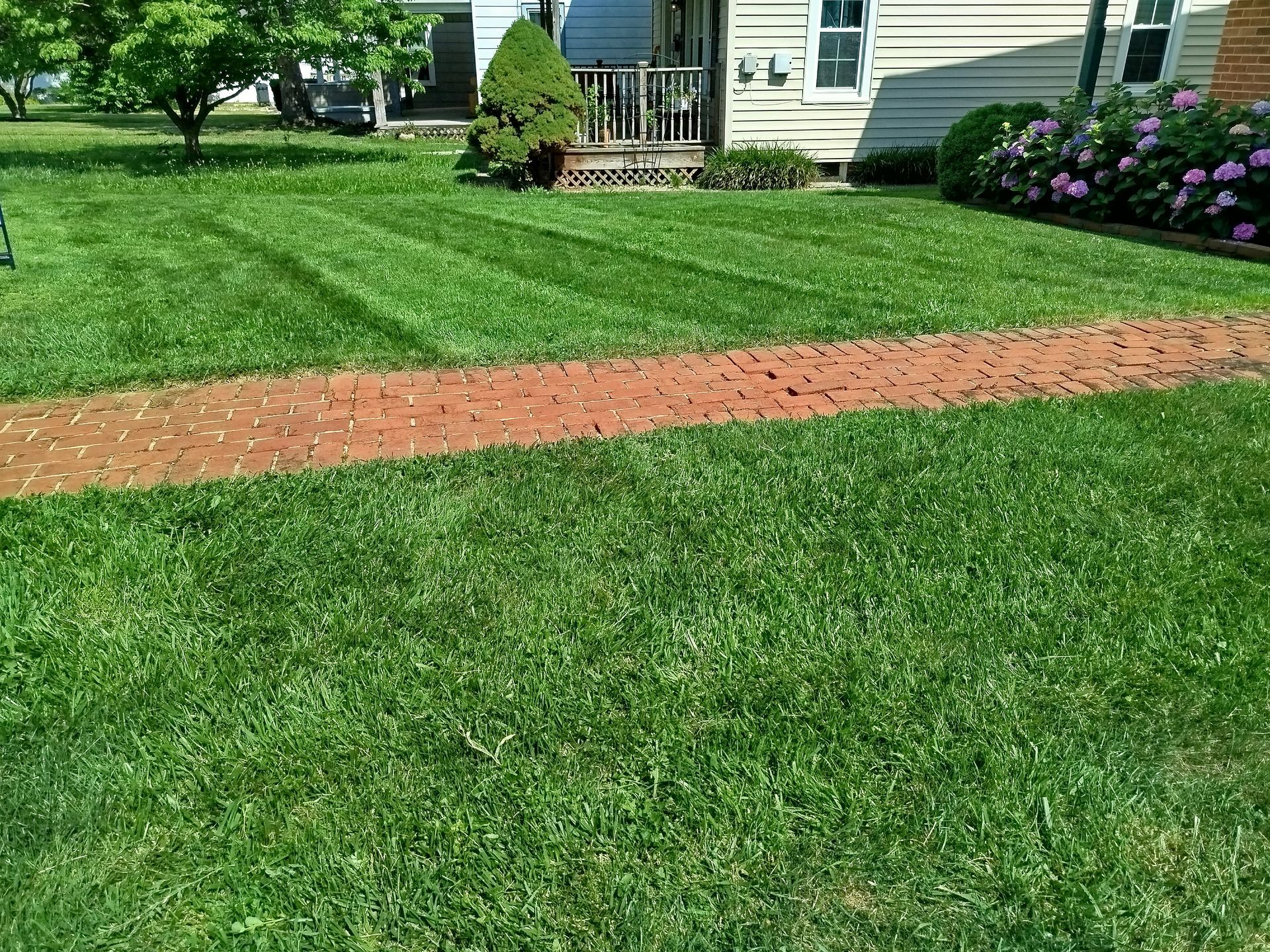 tree trimming services hanover, pa tree trimming services hanover, pa