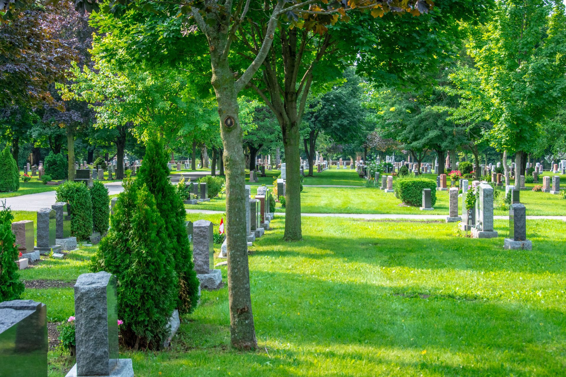 Graveyard Lawn Care Services