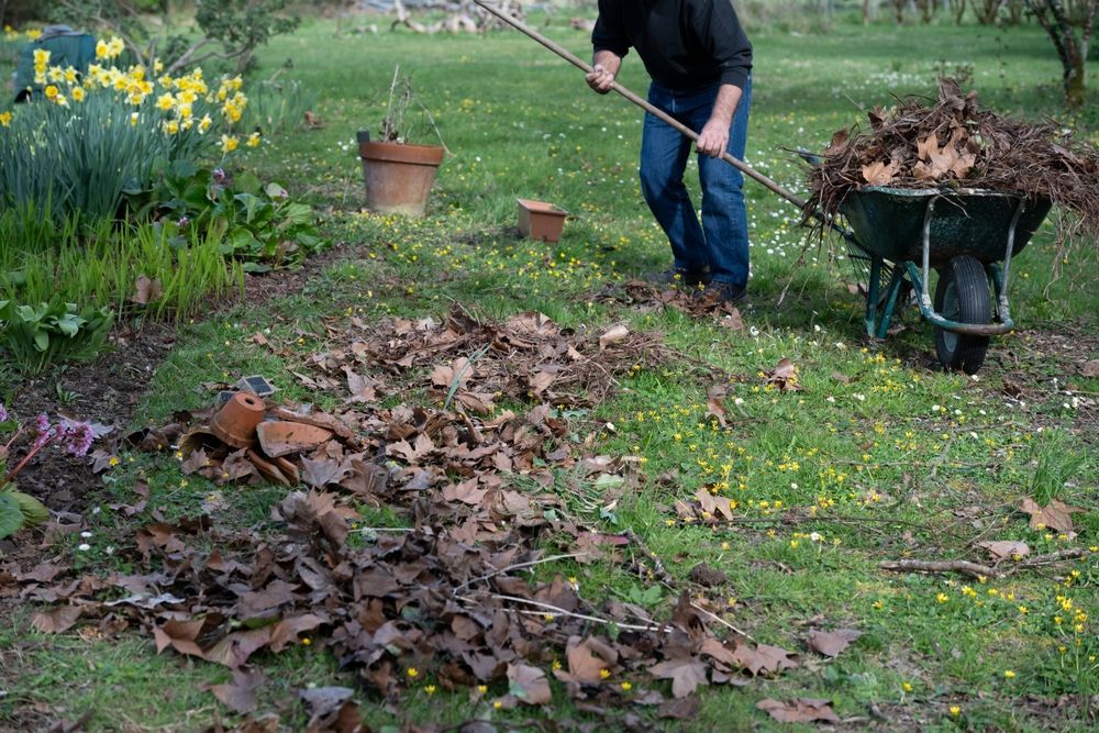 leaf clean up services hanover, pa Person raking leaves into a wheelbarrow in a garden.